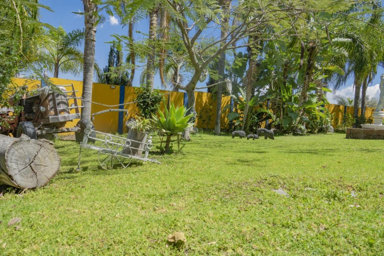 Hotel & Bungalows Las Palmas Villa Corona المظهر الخارجي الصورة